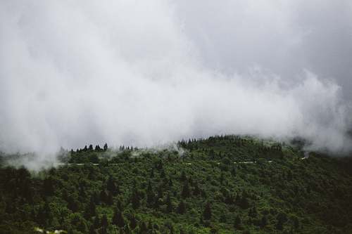 blue ridge parkway aerial photo of green trees and white clouds fog